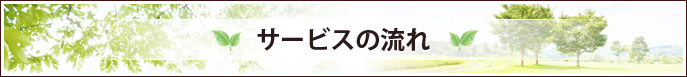 T[rX̗